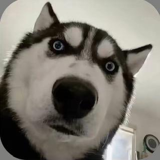 🫧