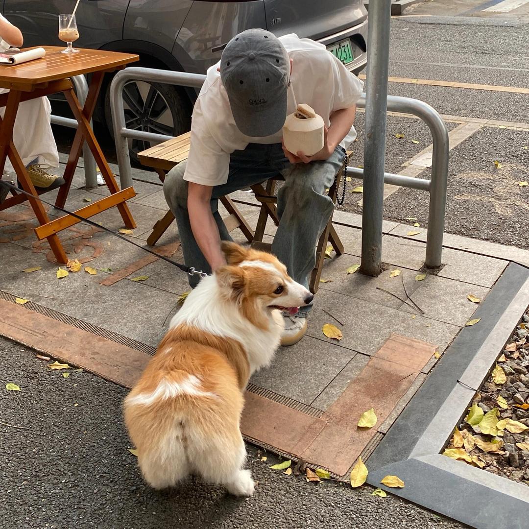 土豆🍭零食