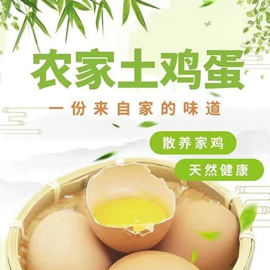 yulin8398