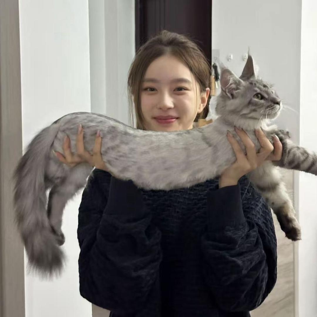 ㅤㅤㅤ