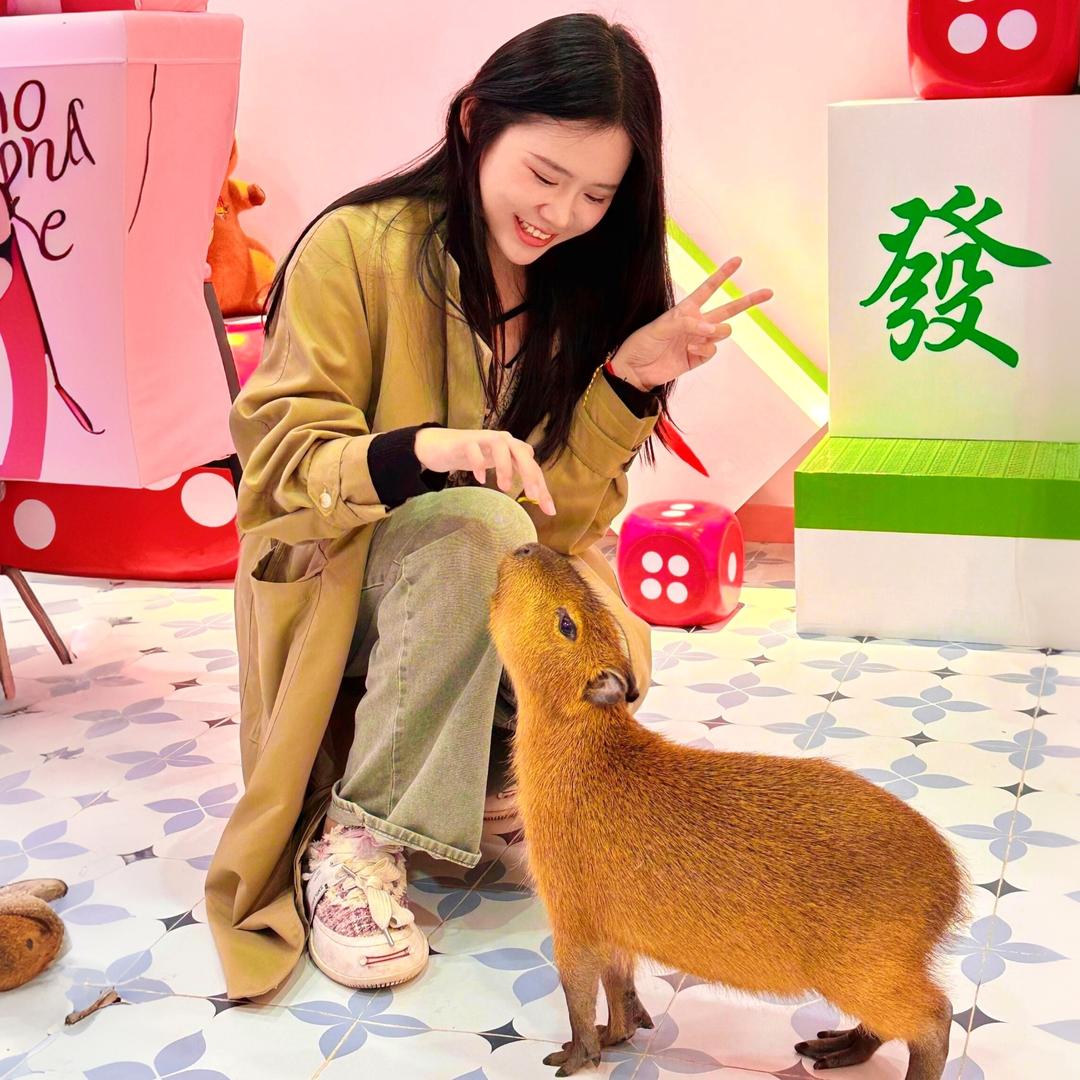 江汉路卡皮巴拉宠物咖啡•Rua水豚撸狗狗