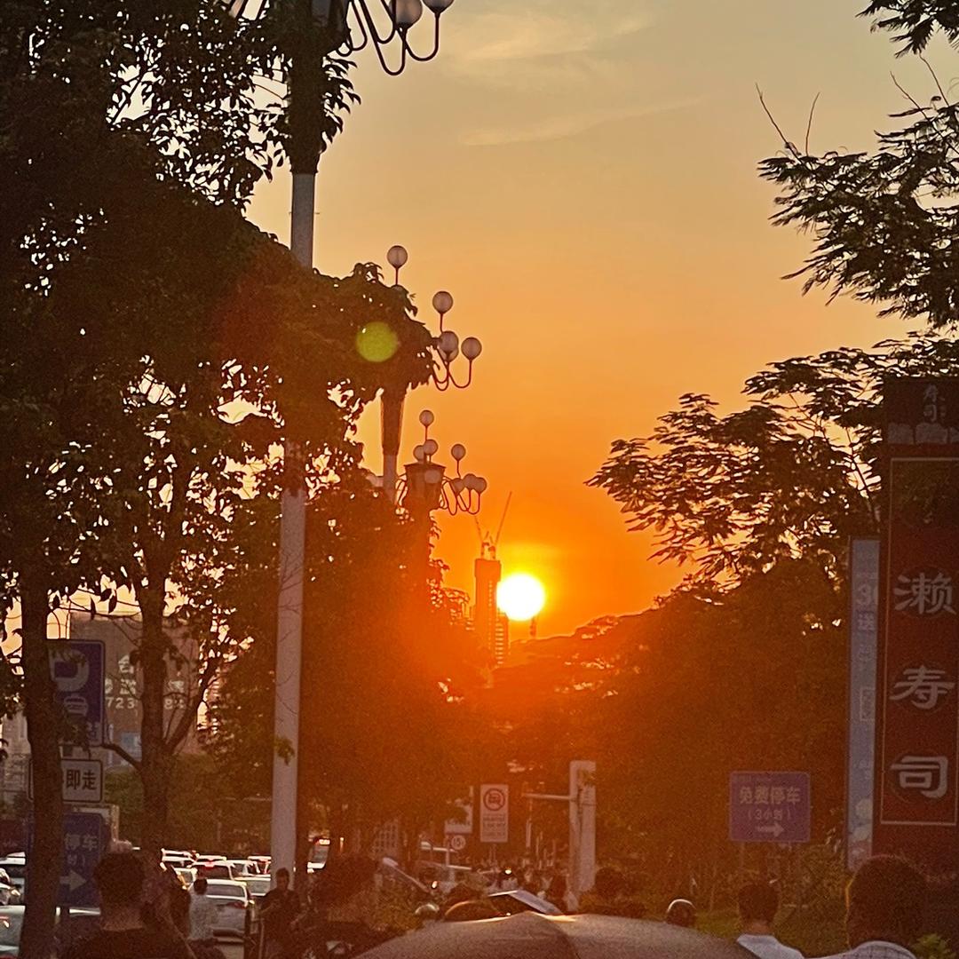 芳心纵火犯啊