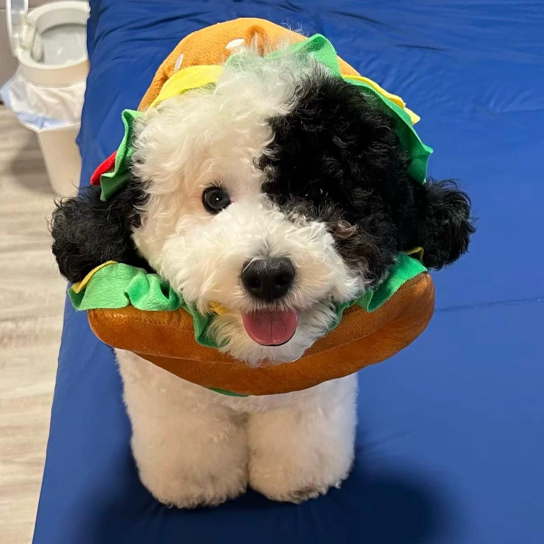 绝笔喃语