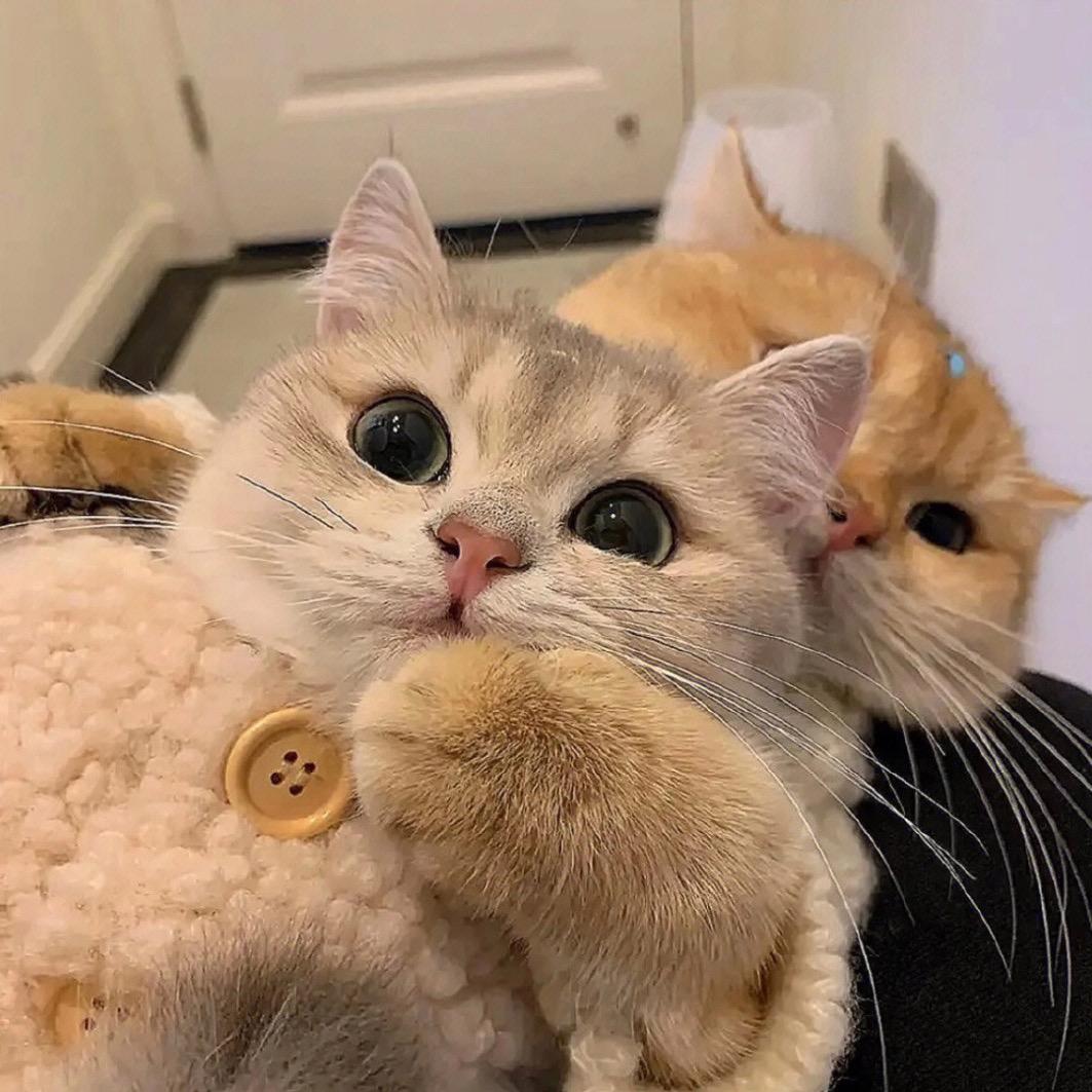 _13
