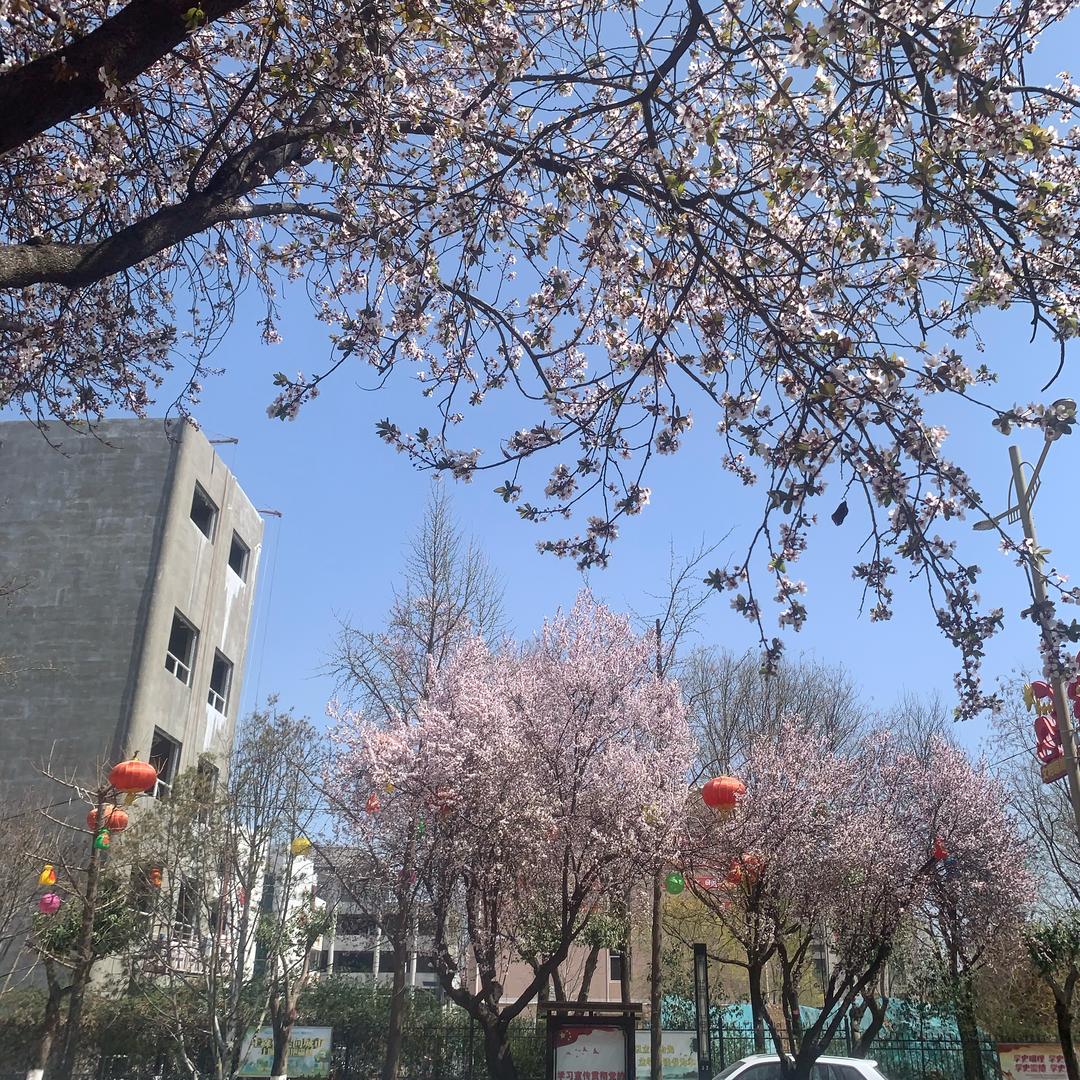 午餐吃什么呢🤔