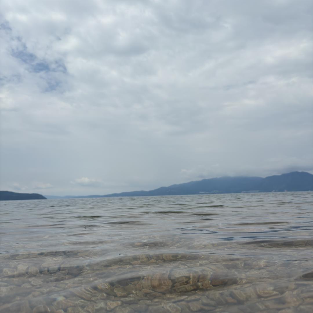 昆明竹子买车（甜甜）