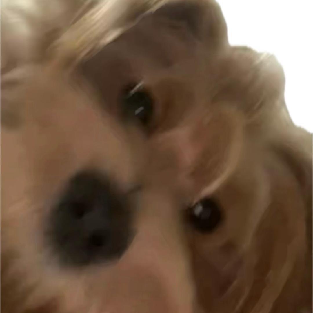 momo