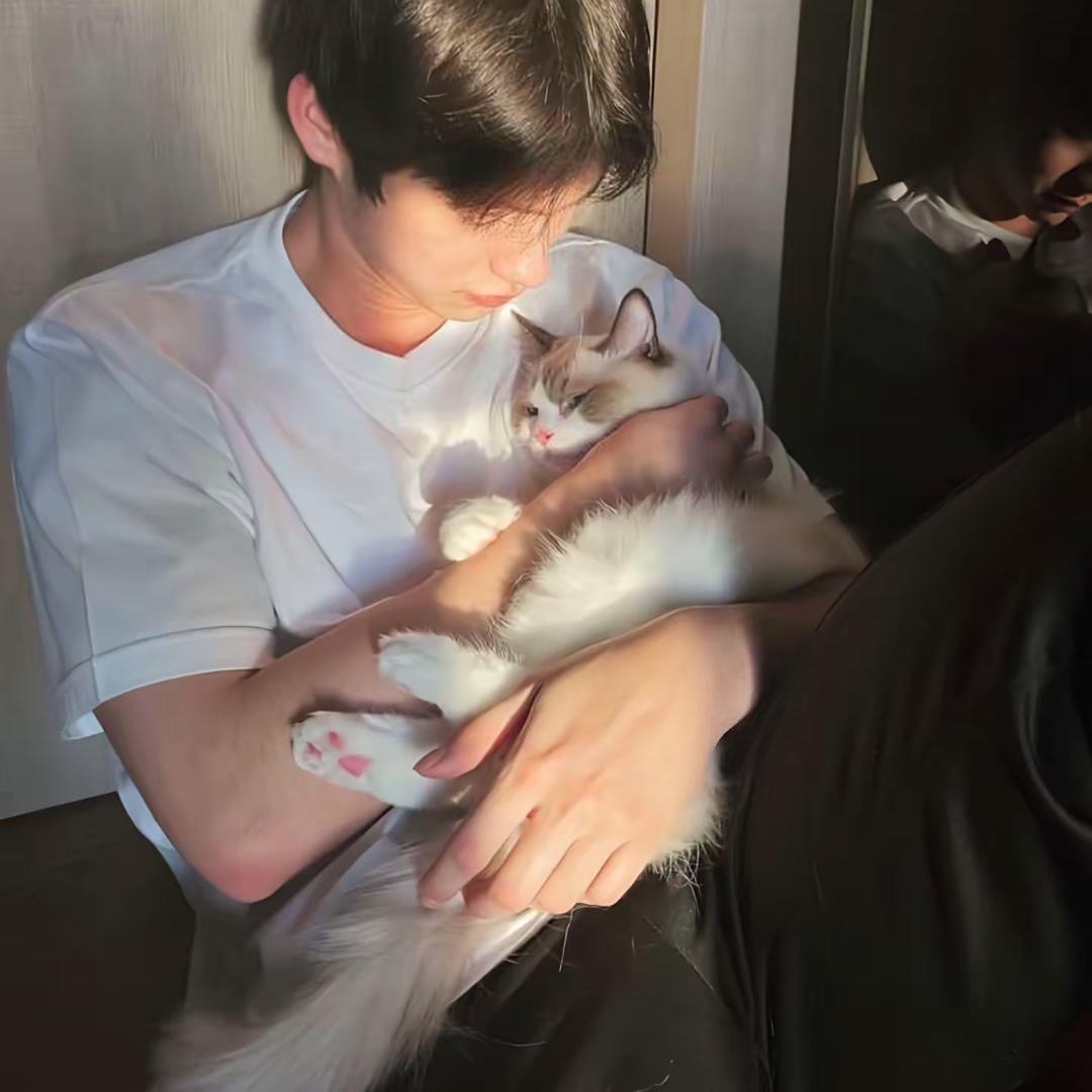 要不要买菜