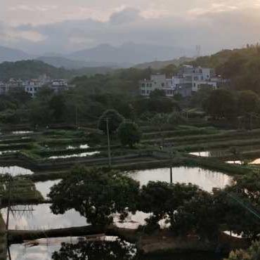 广东锦鸿水产种苗养殖场