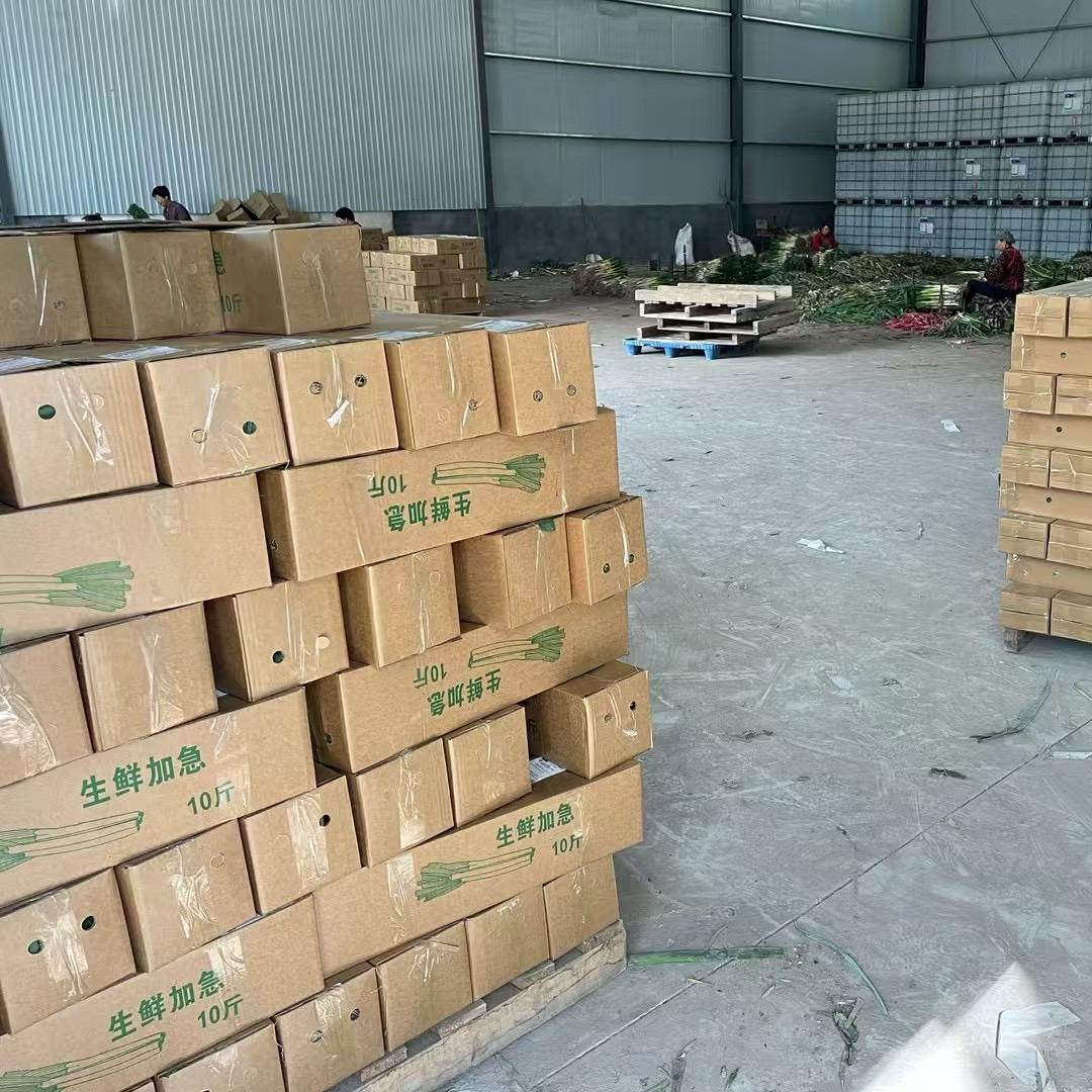 安丘葱姐