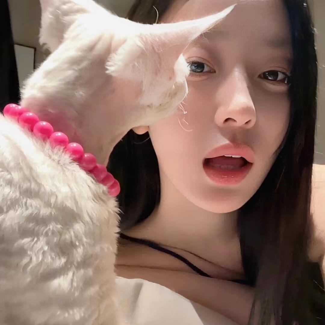发呆的驴