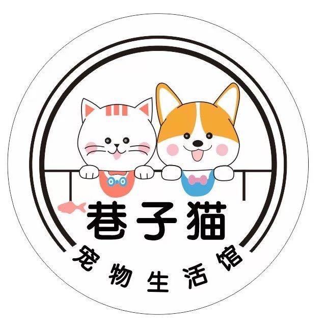 旅顺口区巷子猫宠物生活馆