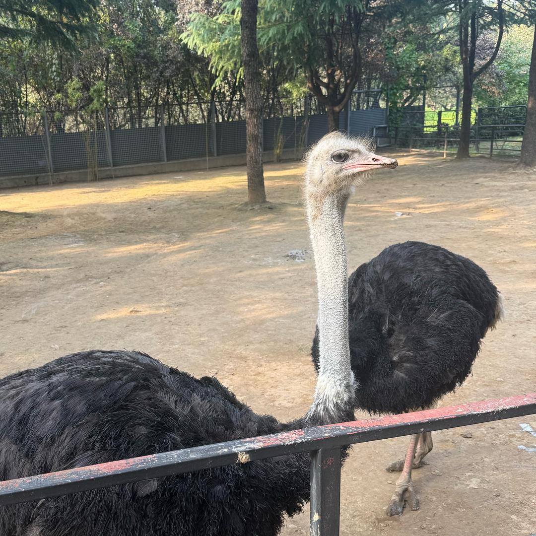 辣上头江西小炒幸福城店