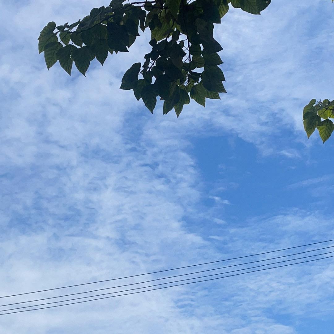 换个名字吧