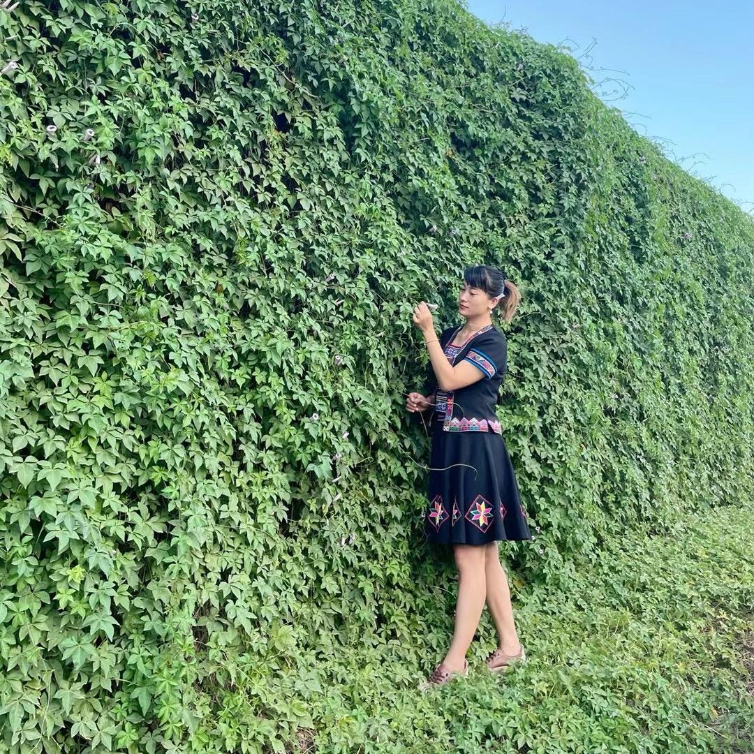 玉米花