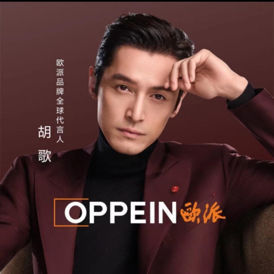 醴陵欧派整家定制