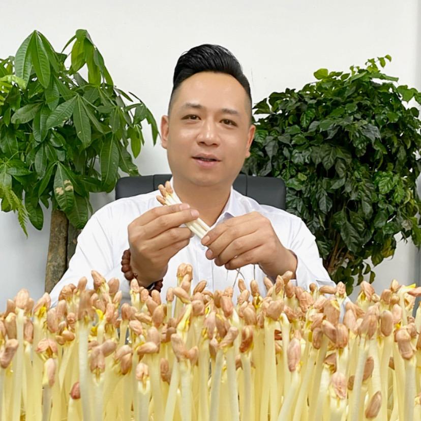 龙老师花生芽