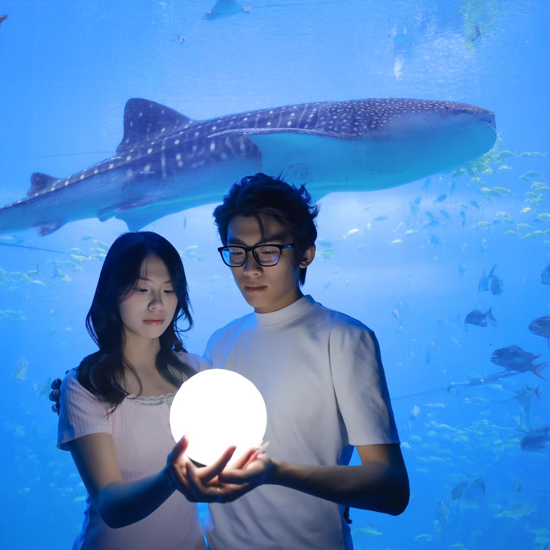 𝙎𝙪𝙥𝙧𝙚𝙢𝙚随风♐️