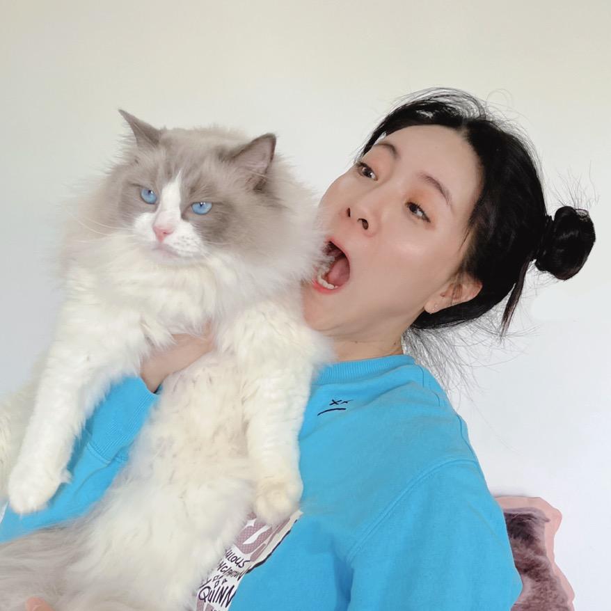 丸子和猫