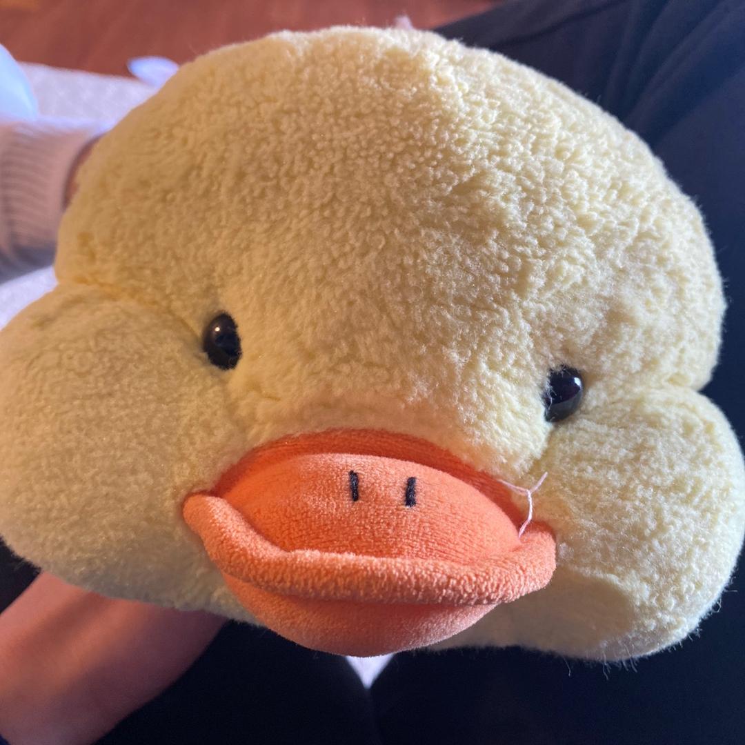 大萌爱溜达@抖音