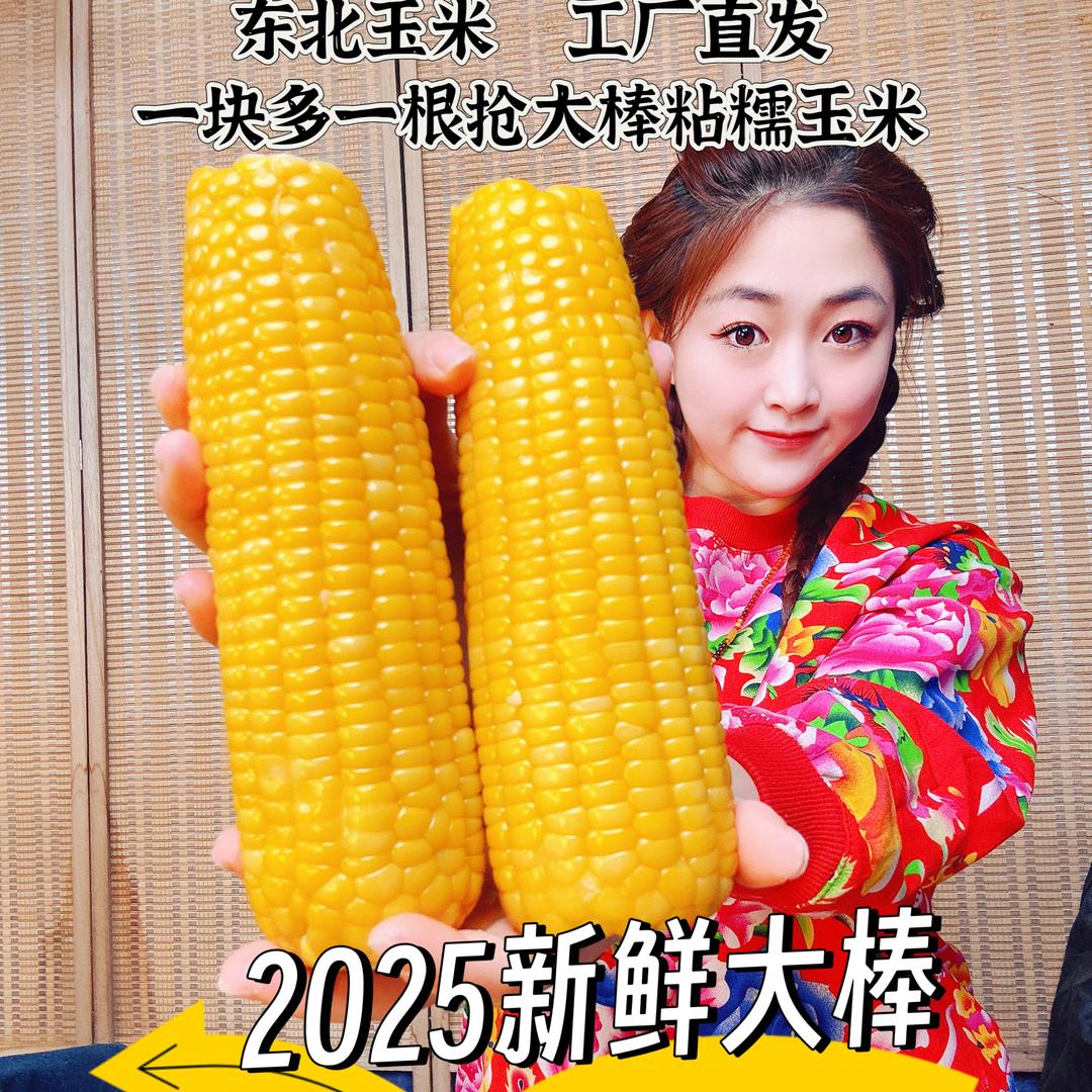 二丫东北糯玉米（助农）