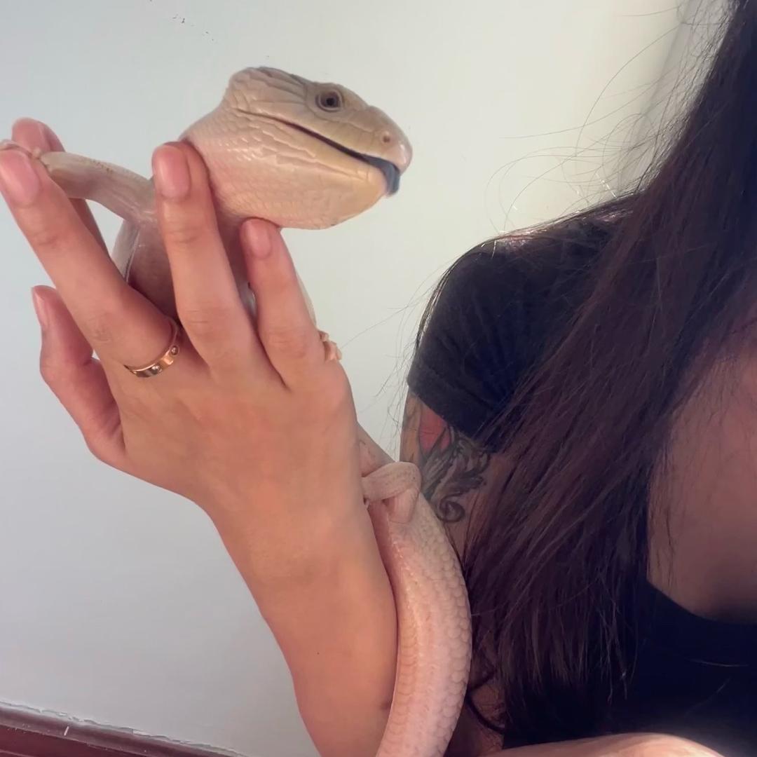 KY的藍色魔怪😈