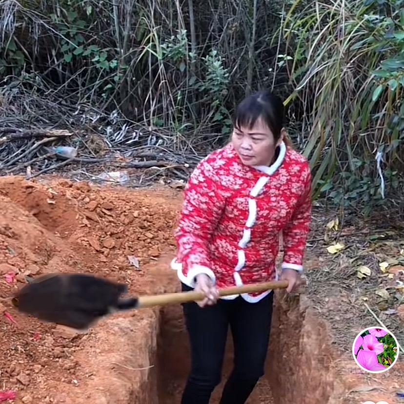 单身飘飘