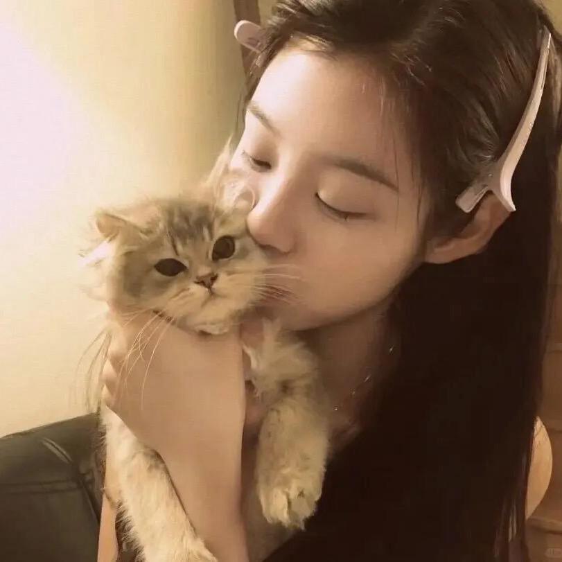 啵啵小猫冰