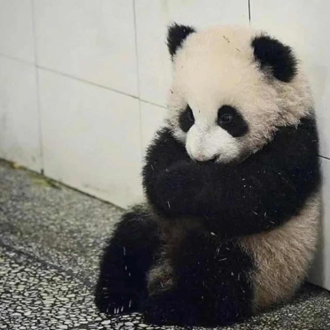 無懮無慮