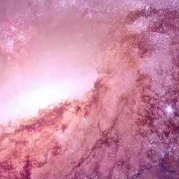 不要请我吃饭了