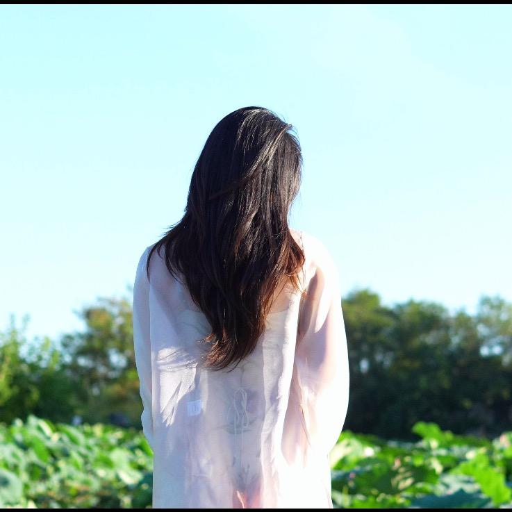 白鹭.