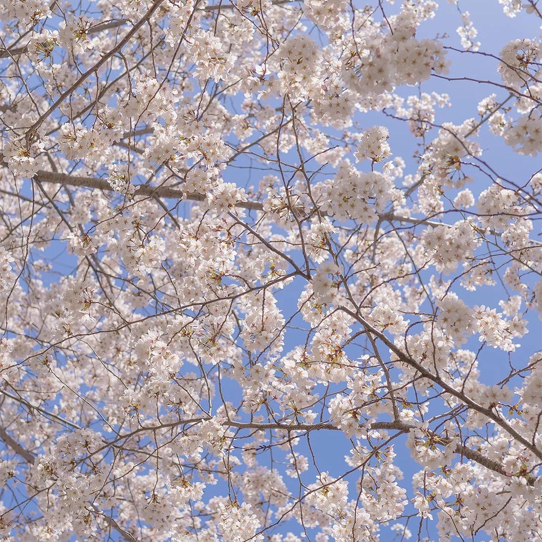 太阳星星和月亮