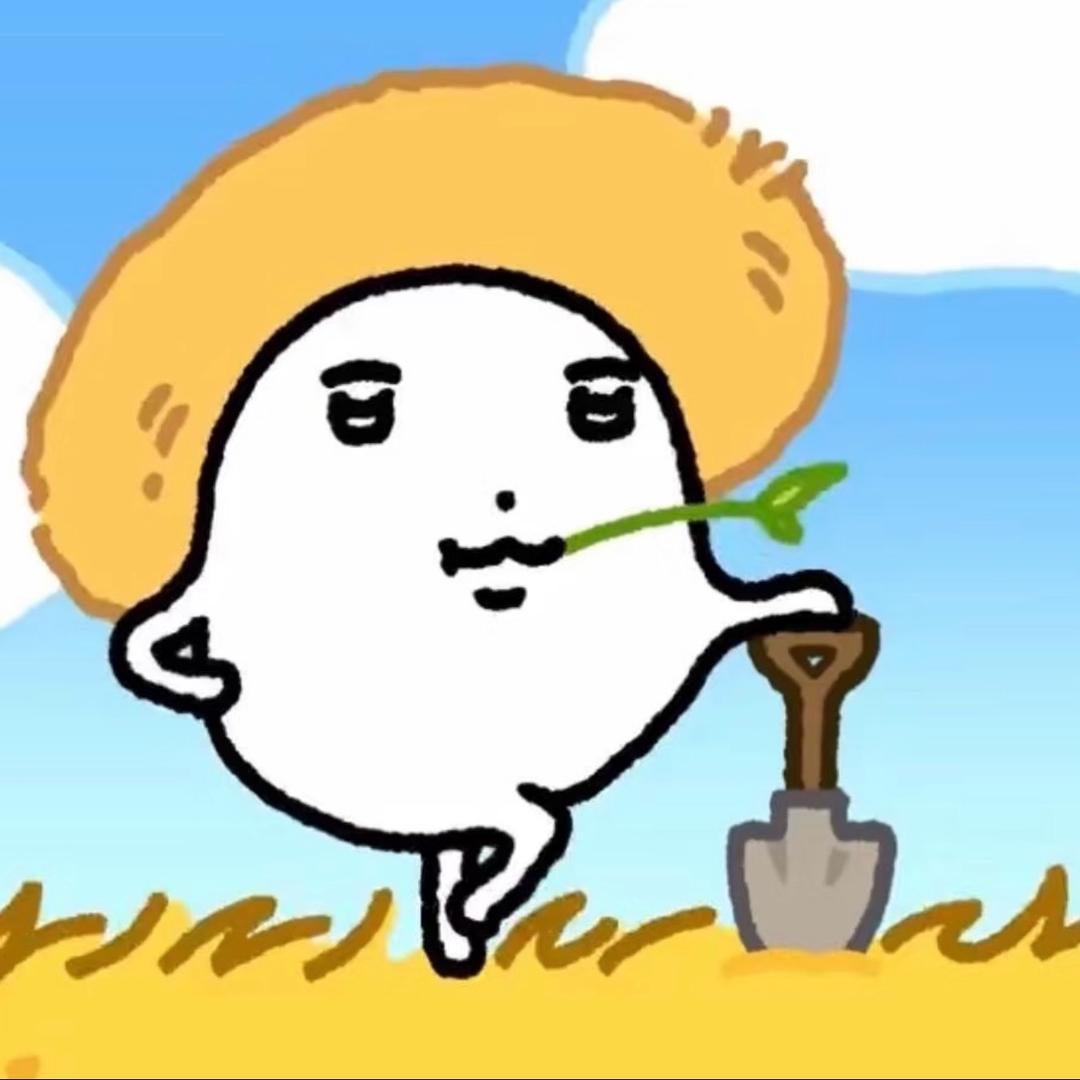 4总