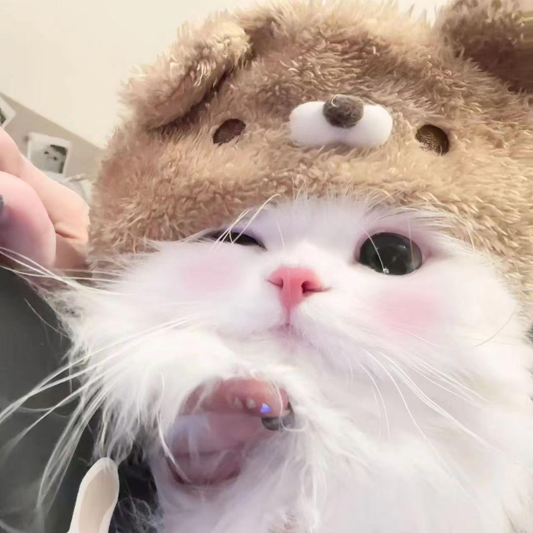 小鱼