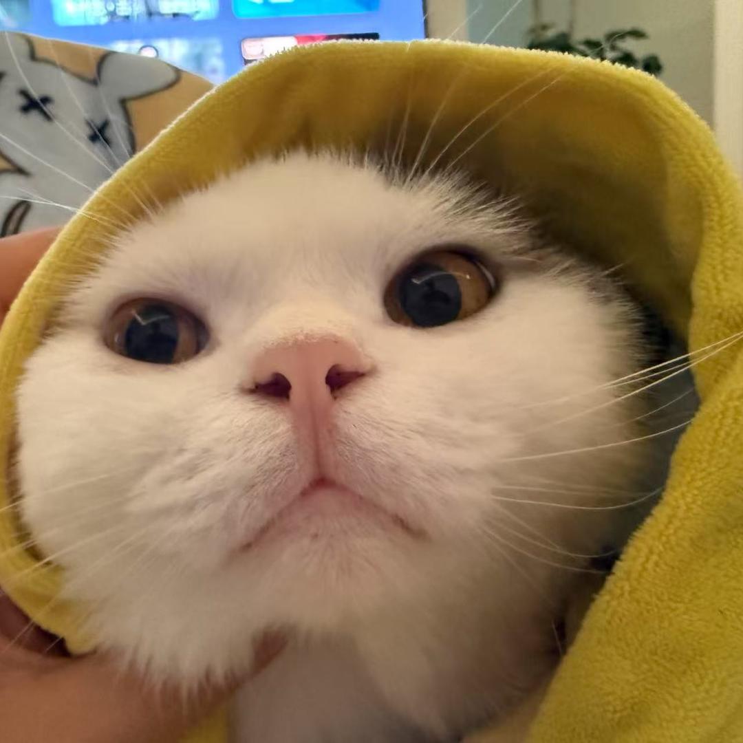 🌙头像
