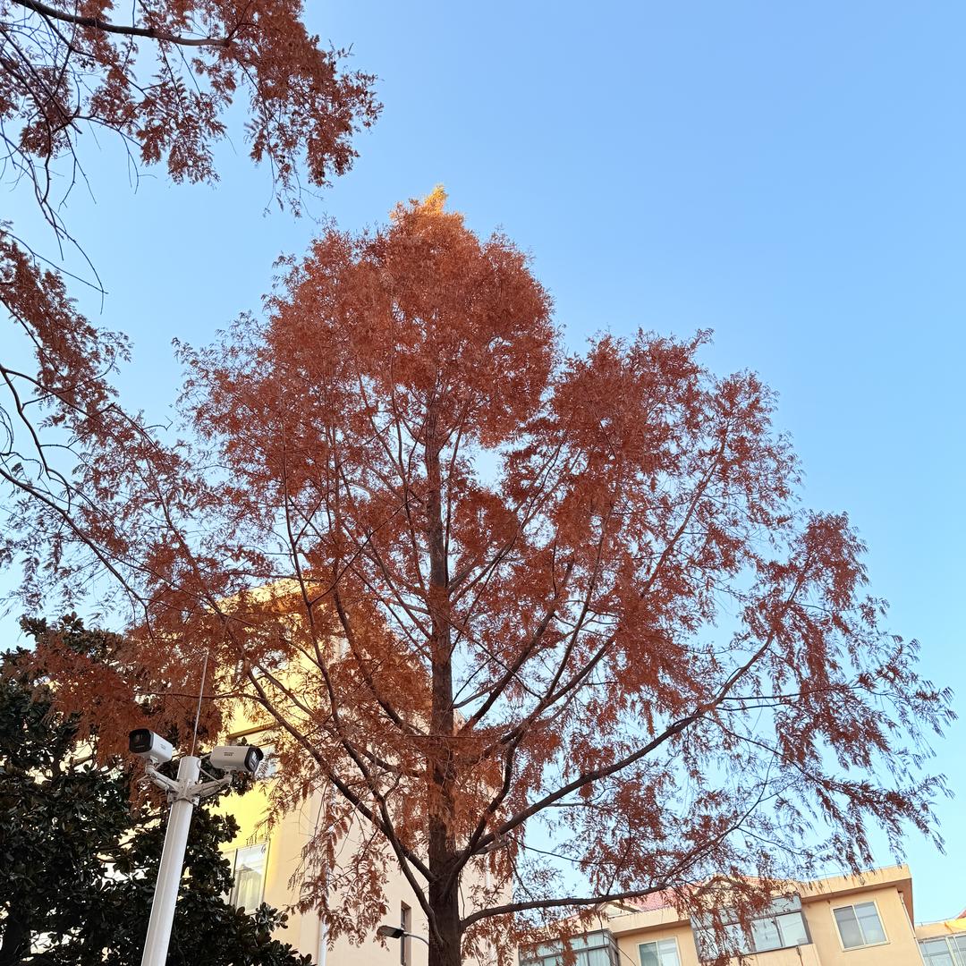 方乾熙式备百货优品小铺