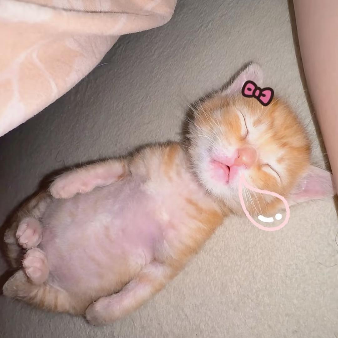 盖世校花