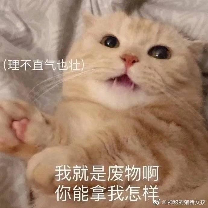 袋子呀