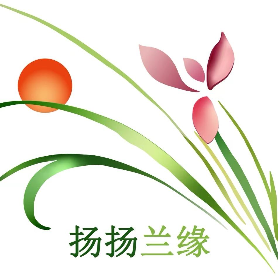 扬扬兰缘