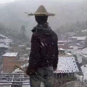 去码头整点薯条🍟