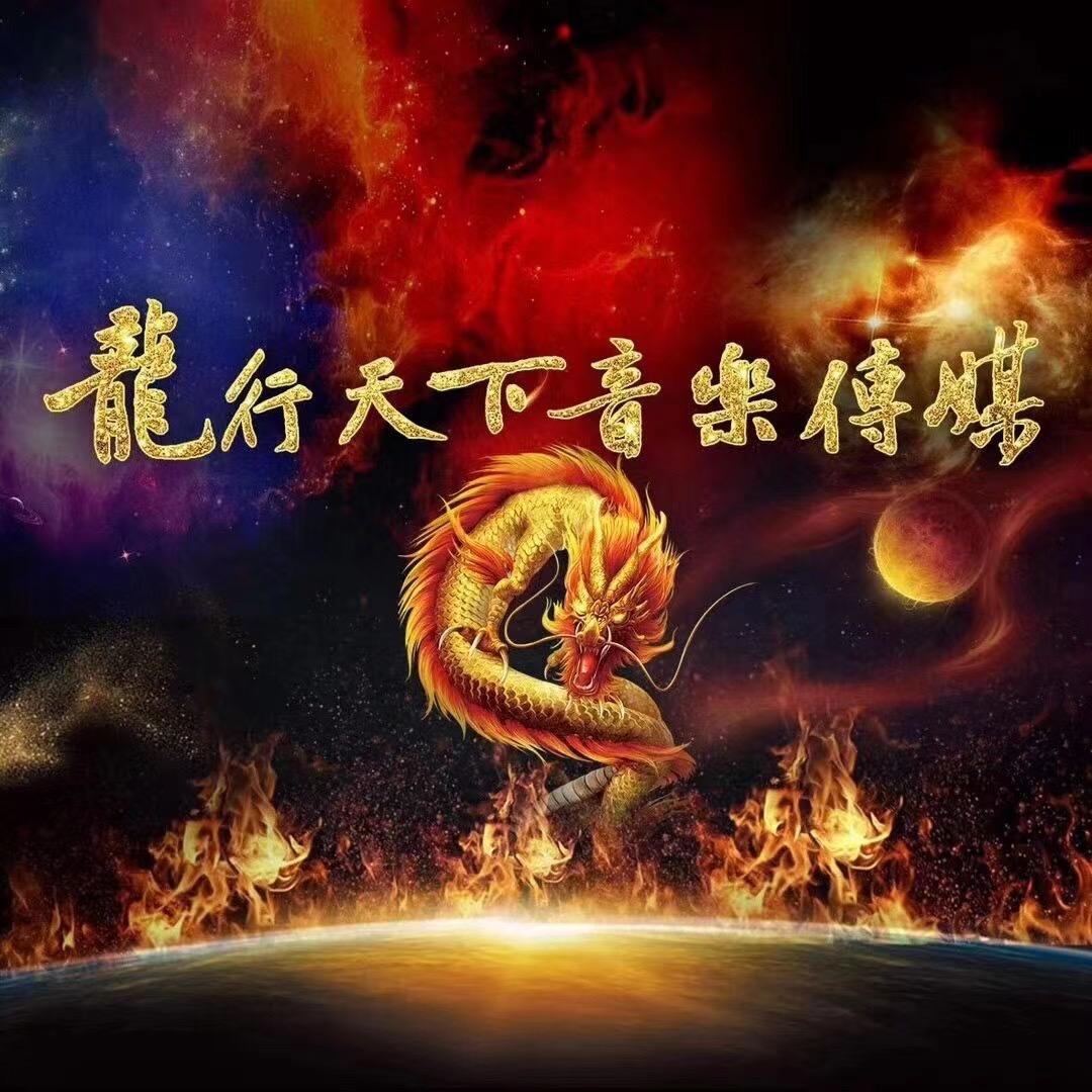 龍行天下、（车载优盘）