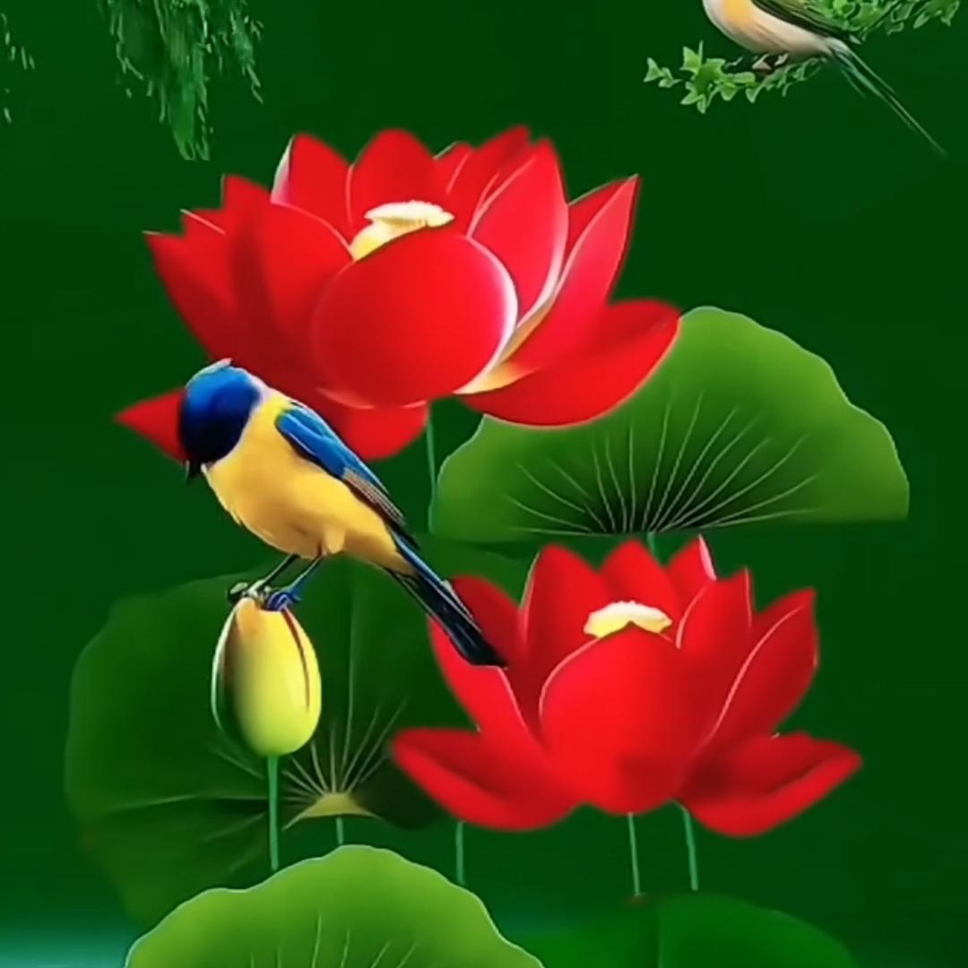 @东哥:)头像