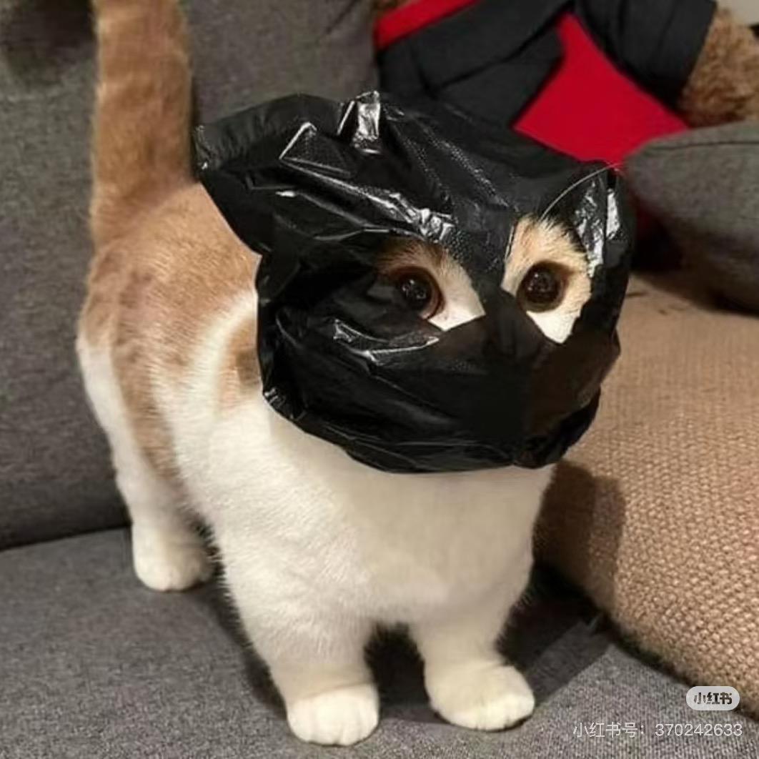 爱谁谁