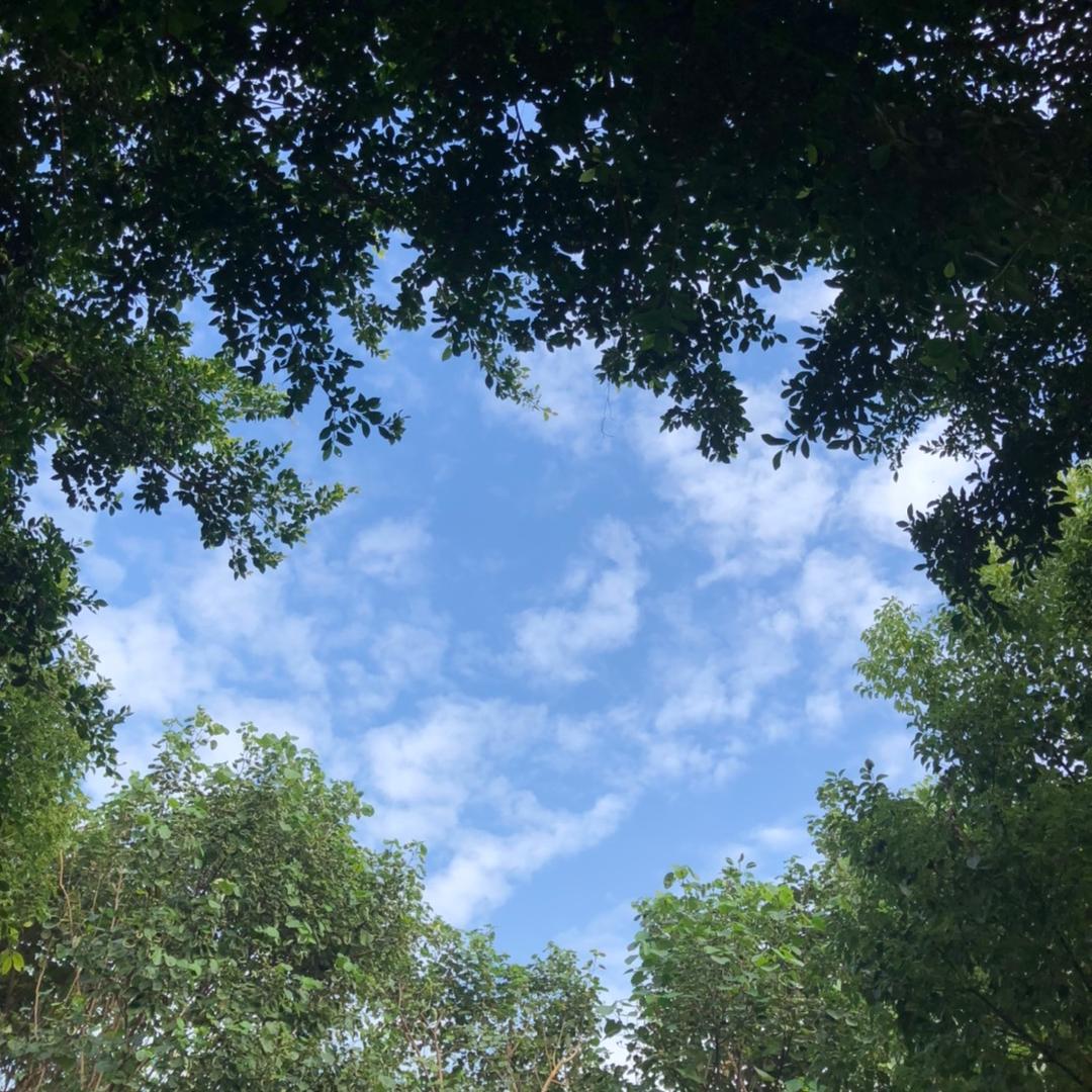 再来①个(･｀ω´･☝)