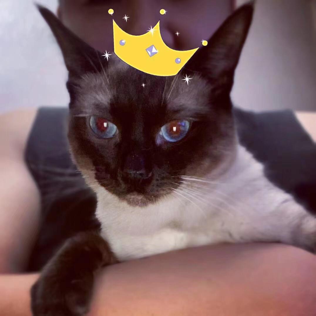 李木子的手作馆