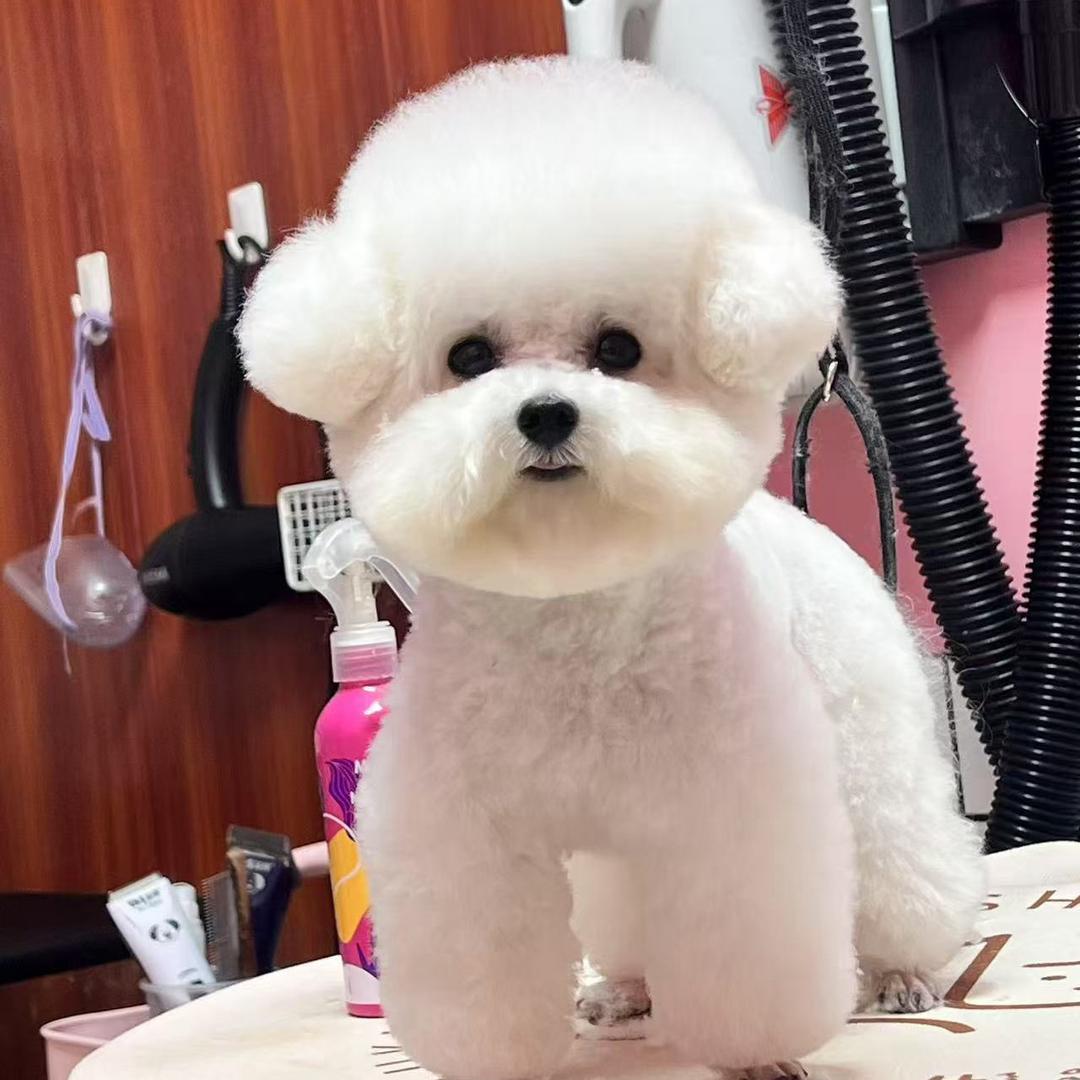 宠物狗窝垫子(私宠)
