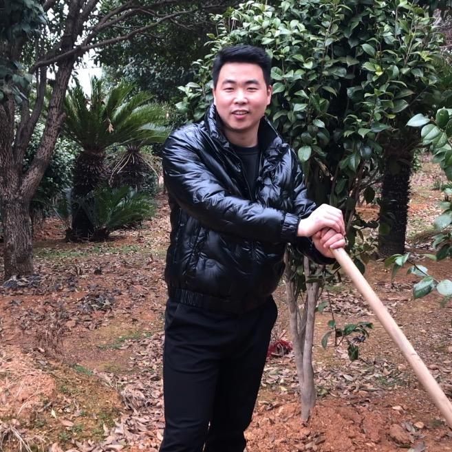 苗木新农人强哥