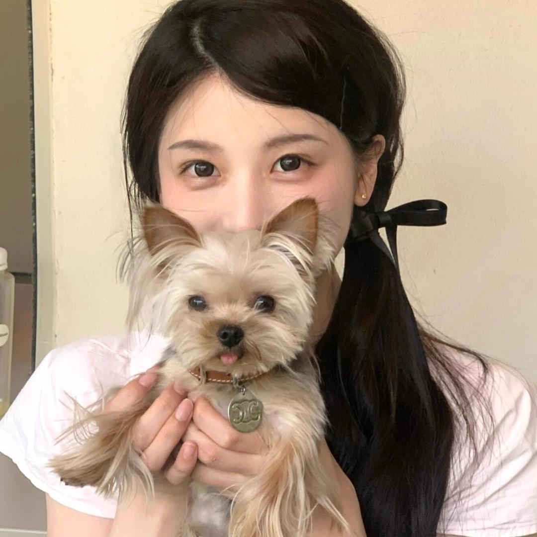 Cc牵线