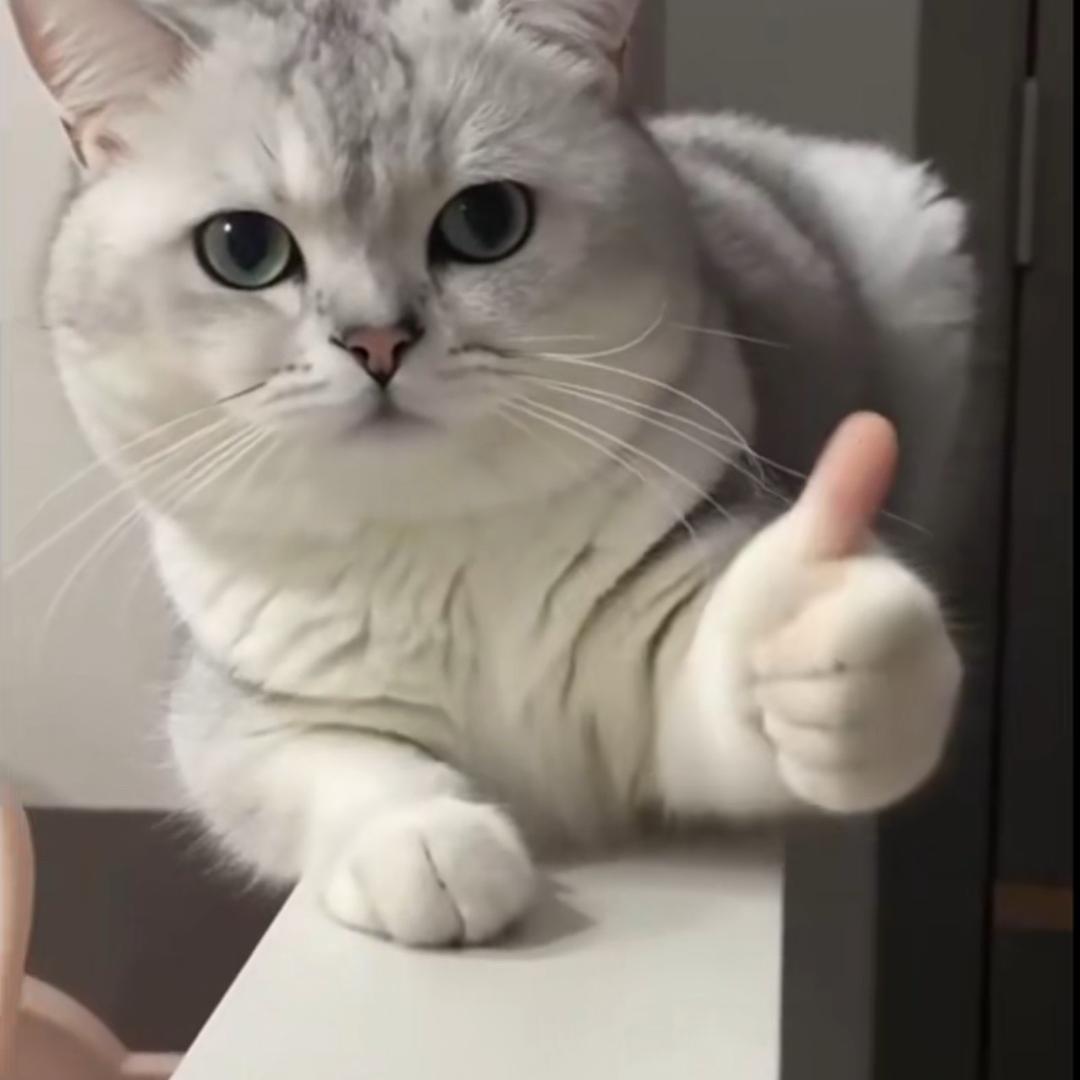 有两个脑子