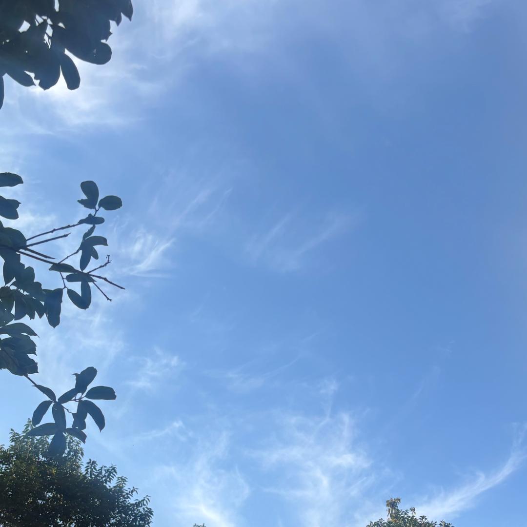 53008095957